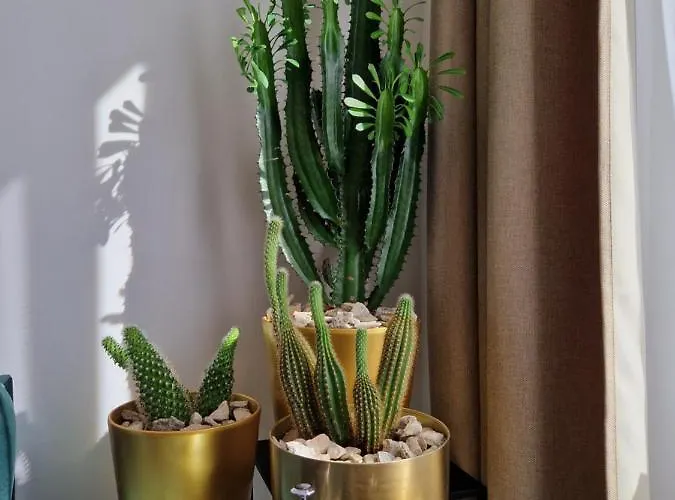 Appartement 7thheaven Centre Free Parking In The Building